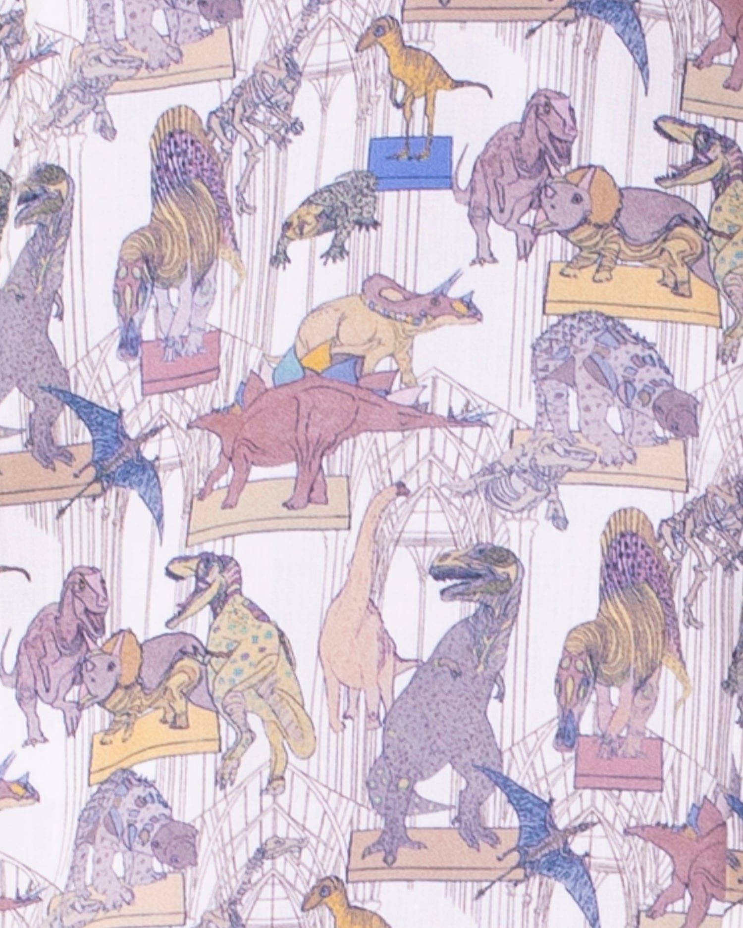 Bernard Organic Liberty Slate Dinosaur Shirt